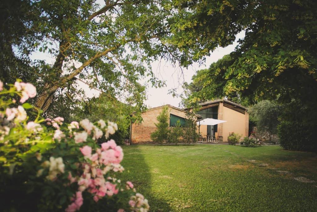Villa Capannina Vico d'Arbia ภายนอก รูปภาพ
